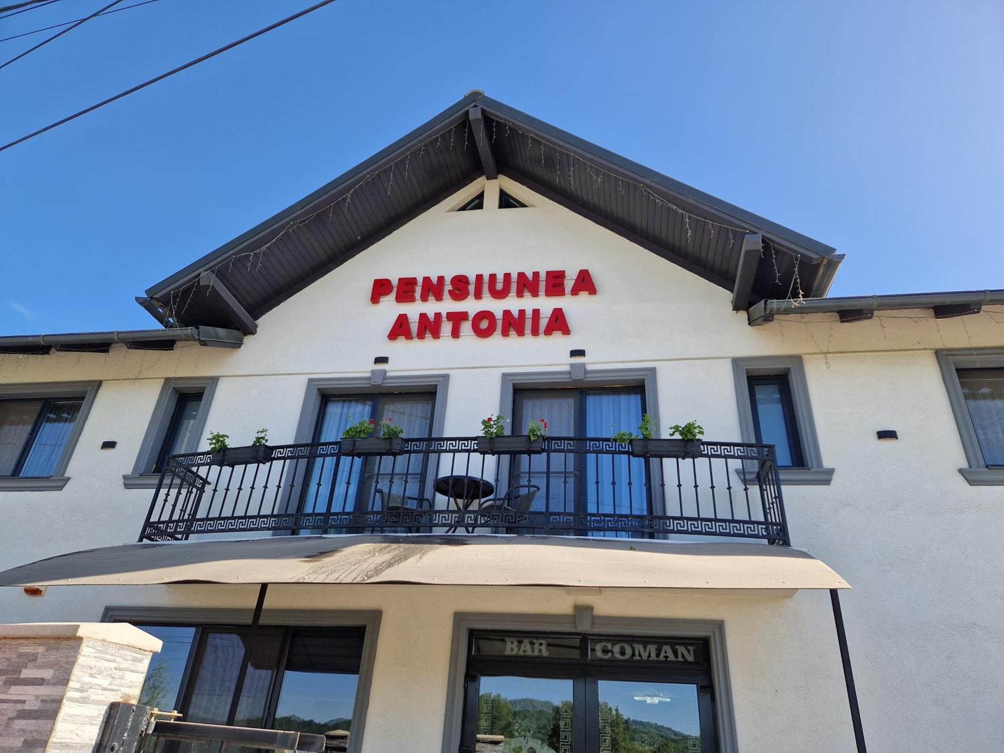 Pensiunea Antonia Sighetu Marmaţiei Værelse billede